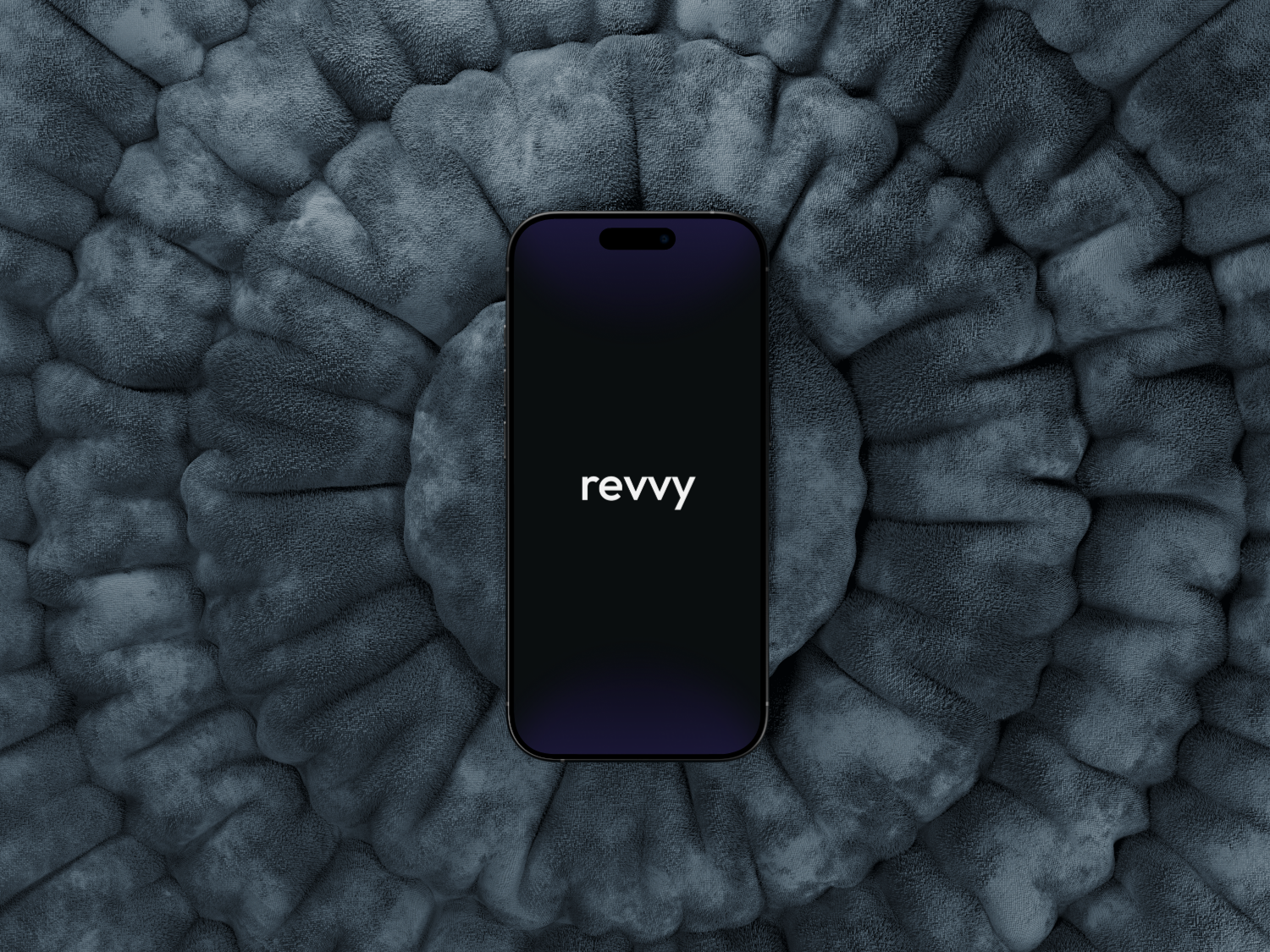 Revvy
